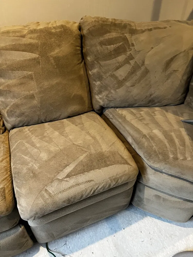 Slide of The Carpet Cleaning