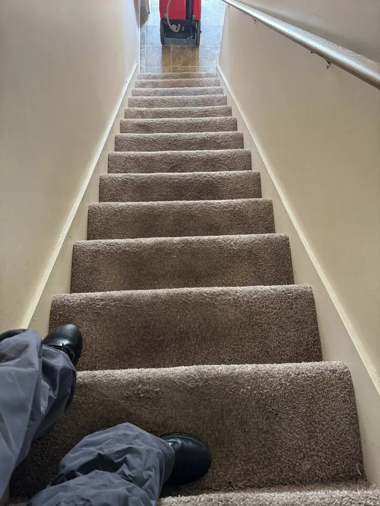 Slide of The Carpet Cleaning