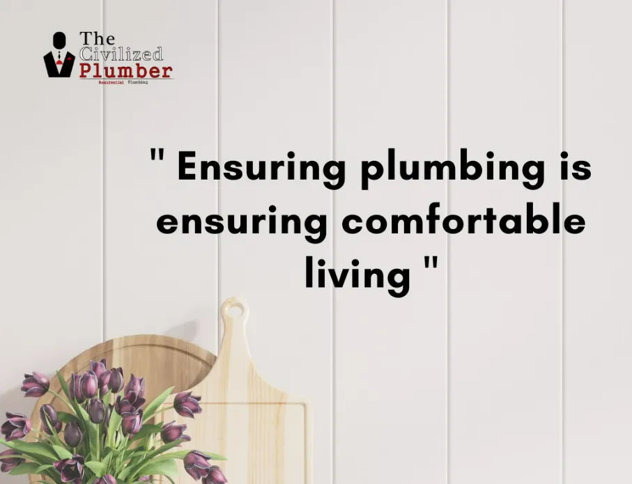 Slide of The Civilized Plumber