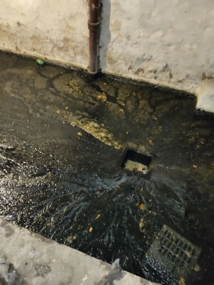 Slide of The Clog Doctor