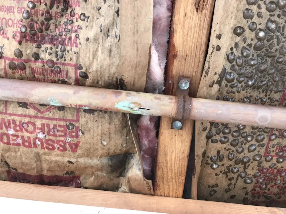 Slide of The Clog Dr Plumbing and Rooter Services