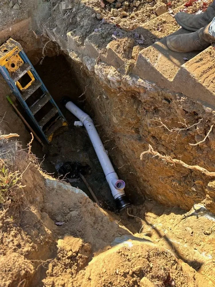 Slide of The Clog Hogs