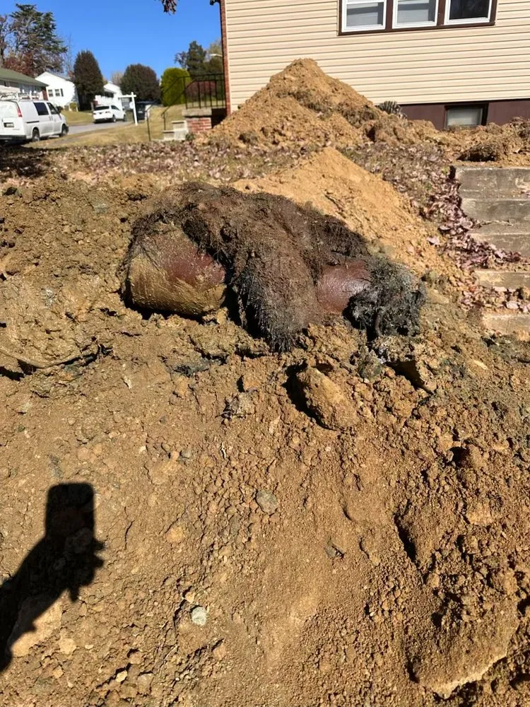 Slide of The Clog Hogs