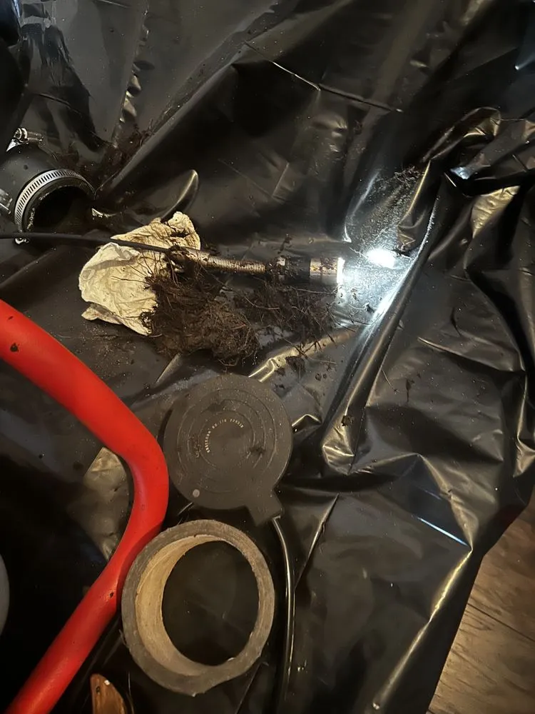 Slide of The Clog Hogs