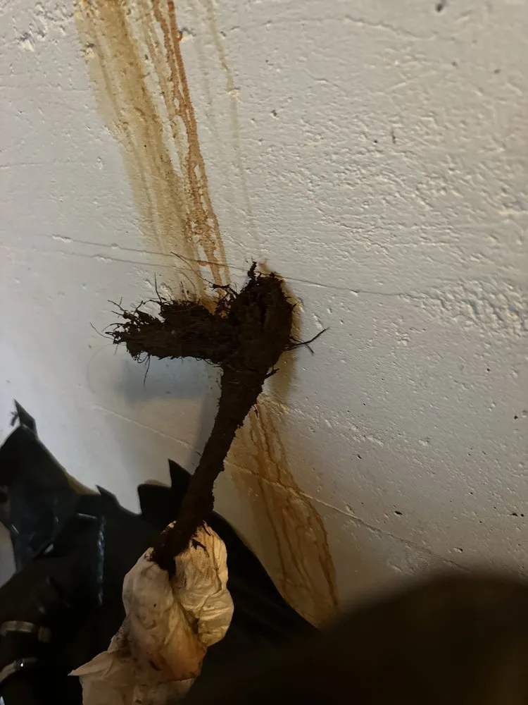 Slide of The Clog Hogs