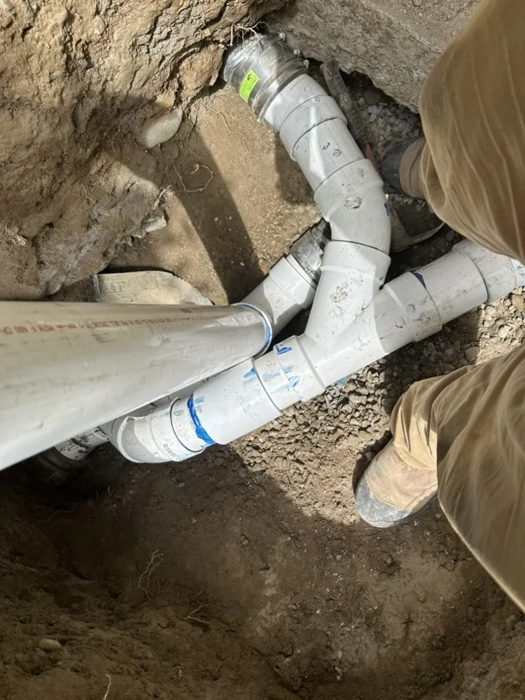 Slide of The Clog Hogs