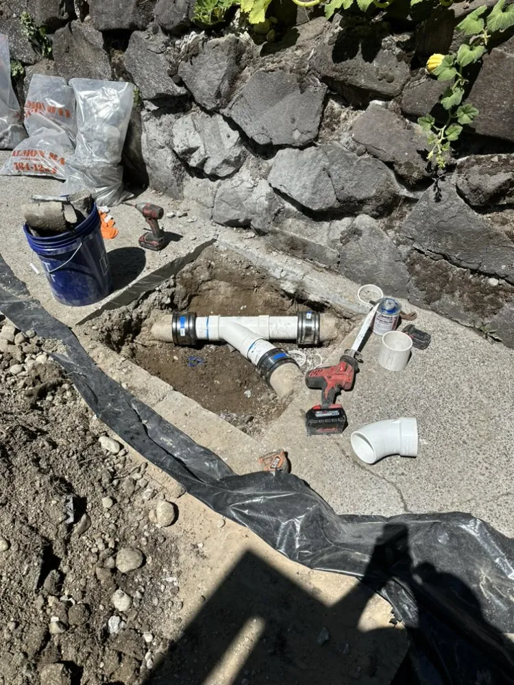 Slide of The Clog Hogs