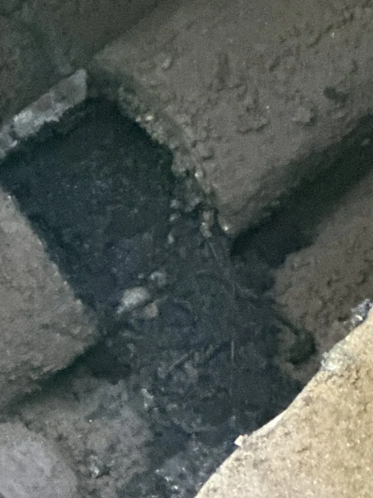 Slide of The Clog Hogs