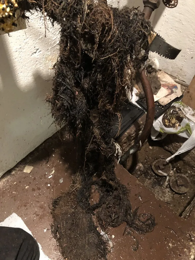 Slide of The ClogFather Sewer and Drain