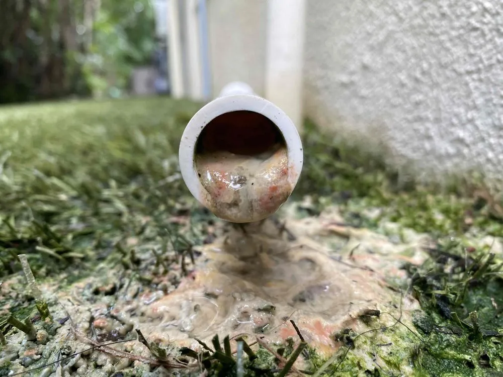 Slide of The Comfort Authority