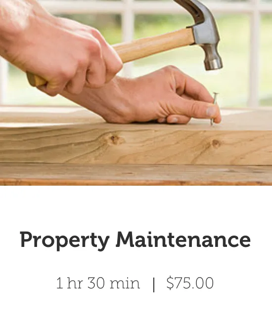 Slide of The Complicated Carpenter