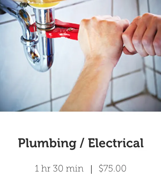 Slide of The Complicated Carpenter