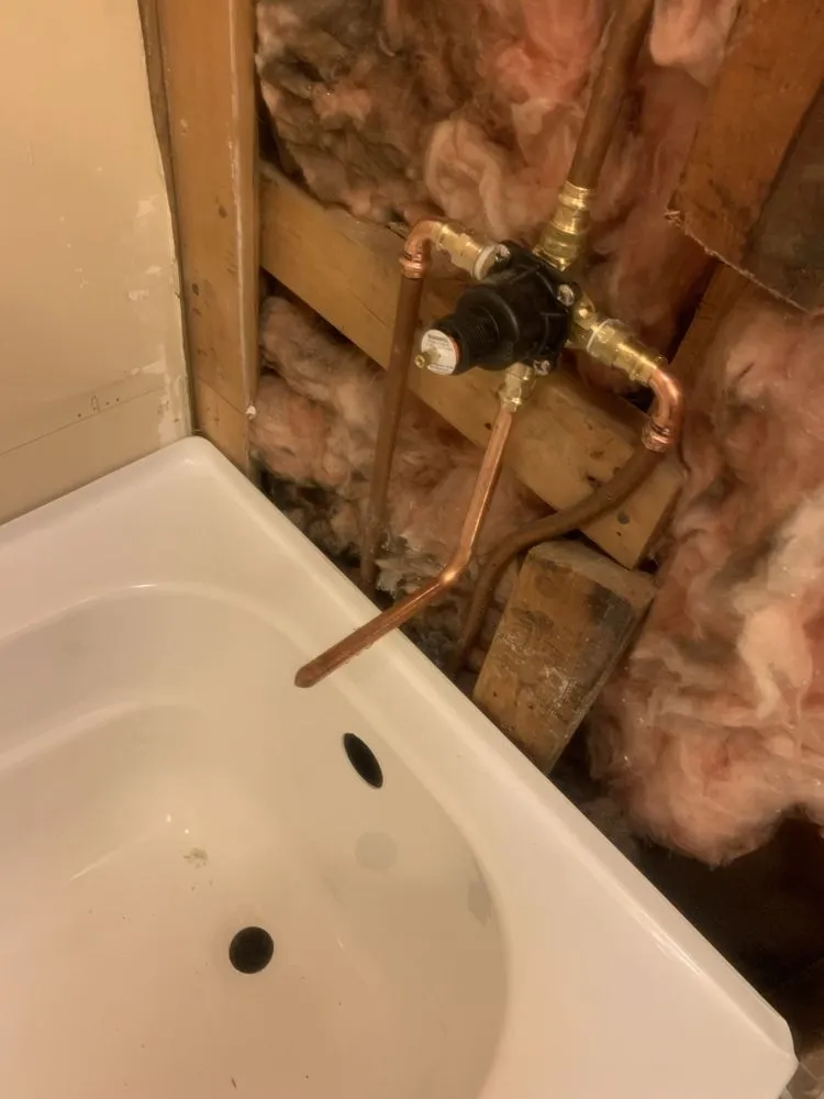 Slide of The Curly Headed Plumber