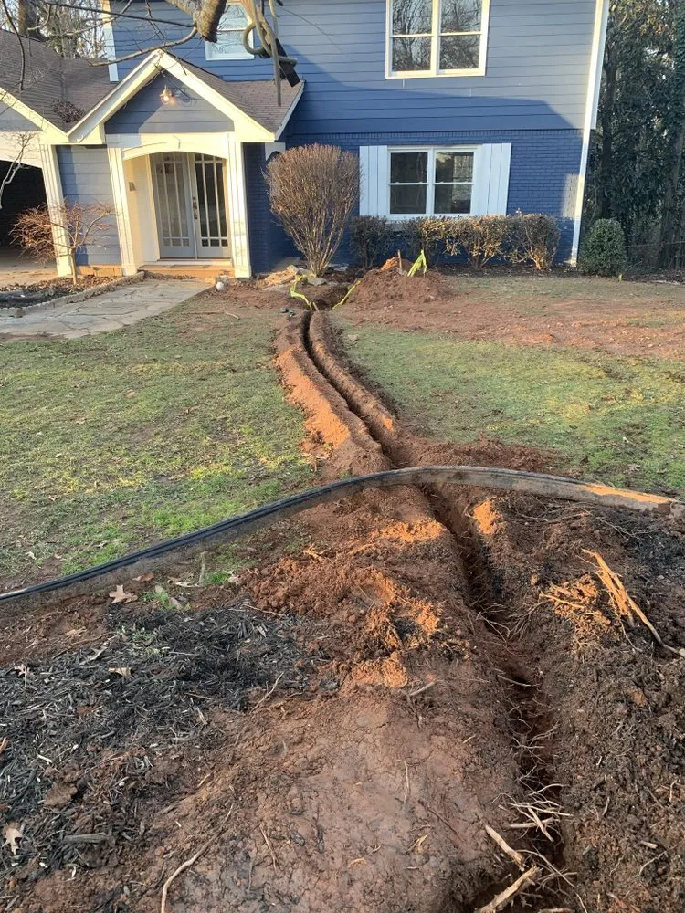 Slide of The Curly Headed Plumber