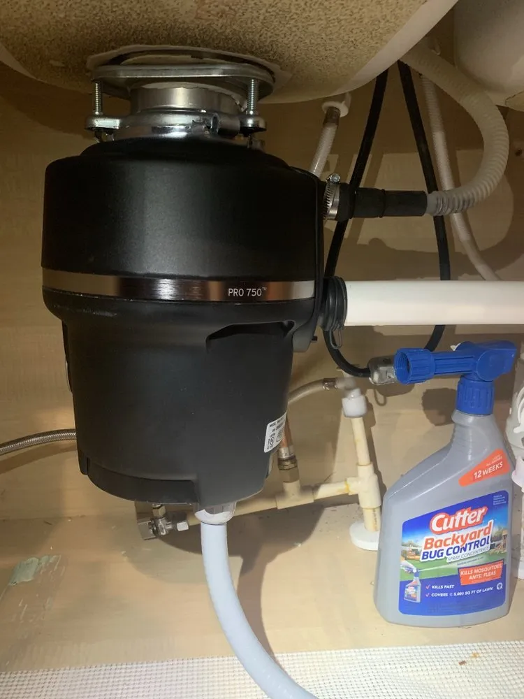 Slide of The Curly Headed Plumber