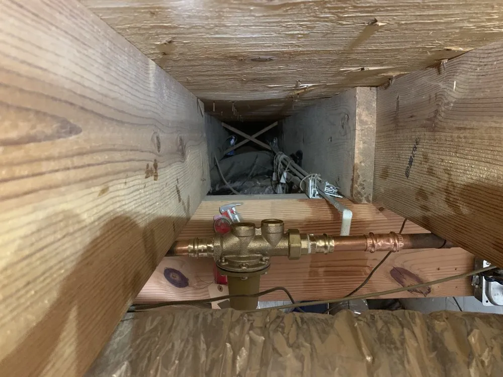 Slide of The Curly Headed Plumber