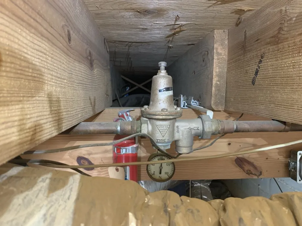 Slide of The Curly Headed Plumber