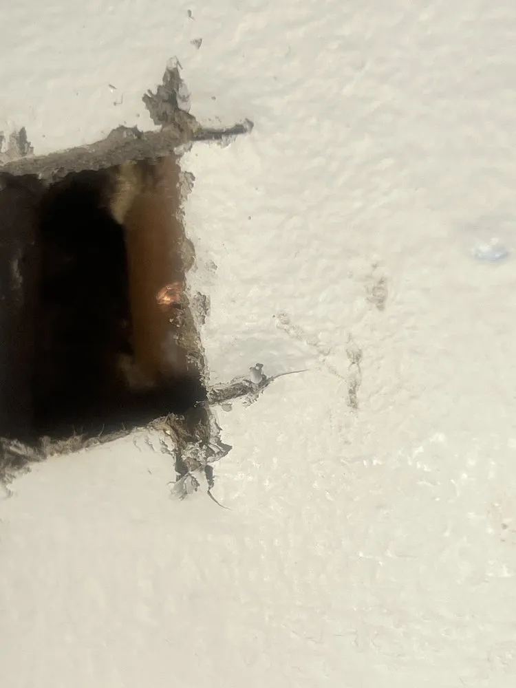 Slide of The Curly Headed Plumber