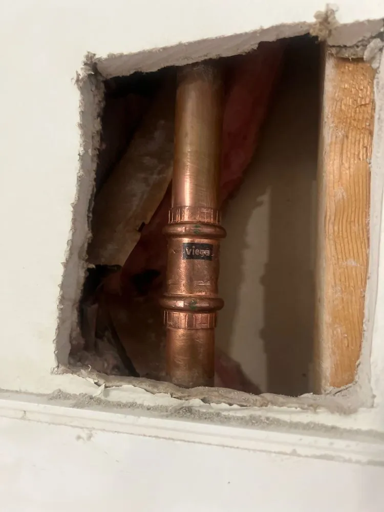 Slide of The Curly Headed Plumber