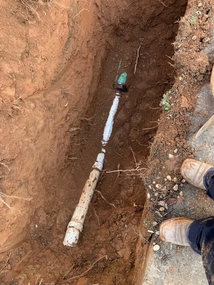 Slide of The Curly Headed Plumber