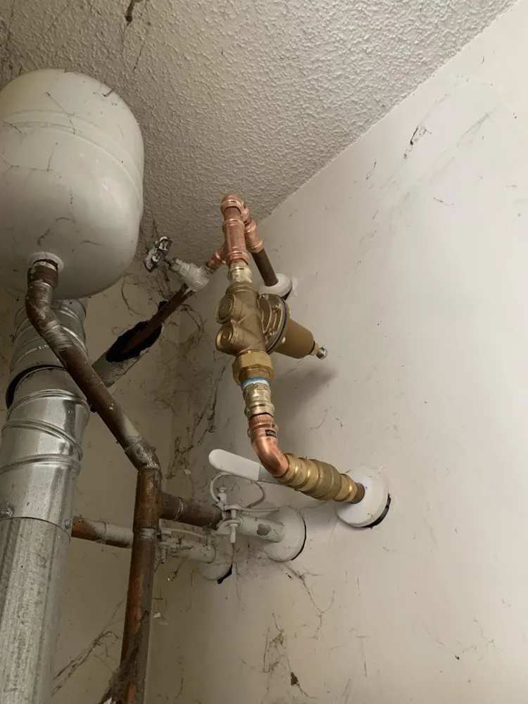 Slide of The Curly Headed Plumber