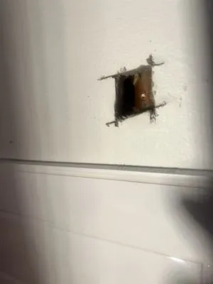 The Curly Headed Plumber Logo