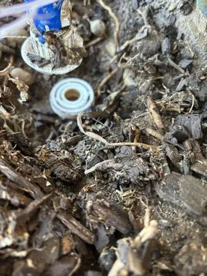 The Dependable Plumber Logo