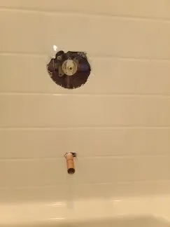 Slide of The Ding Doctor