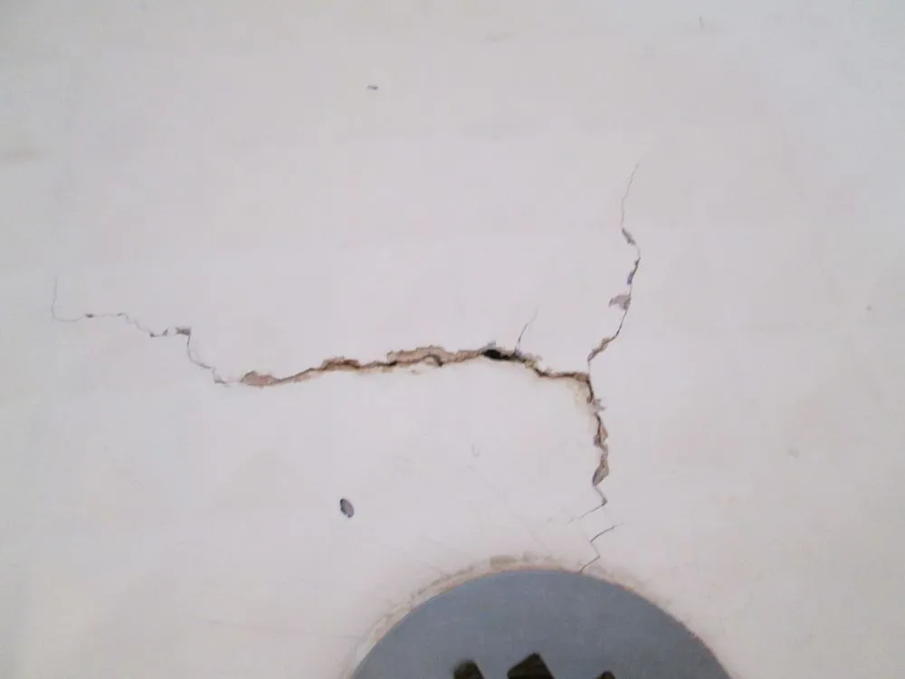 Slide of The Ding Doctor