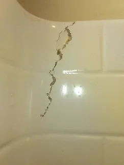 Slide of The Ding Doctor