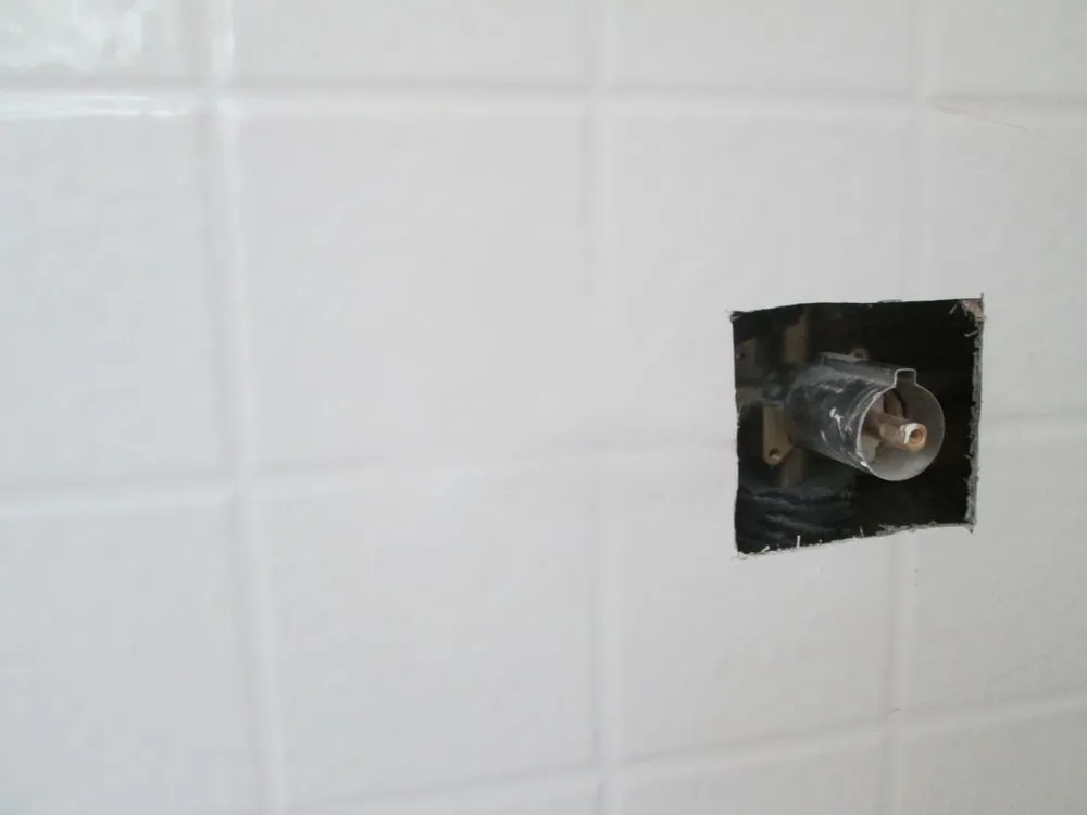 Slide of The Ding Doctor