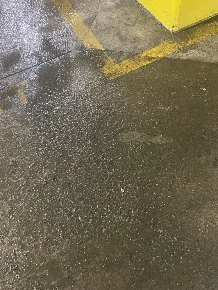 Slide of The Drain Brain