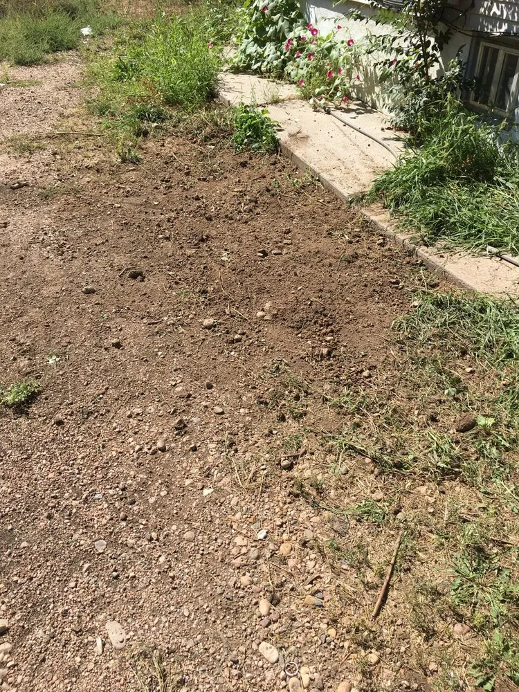 Slide of The Drain Check