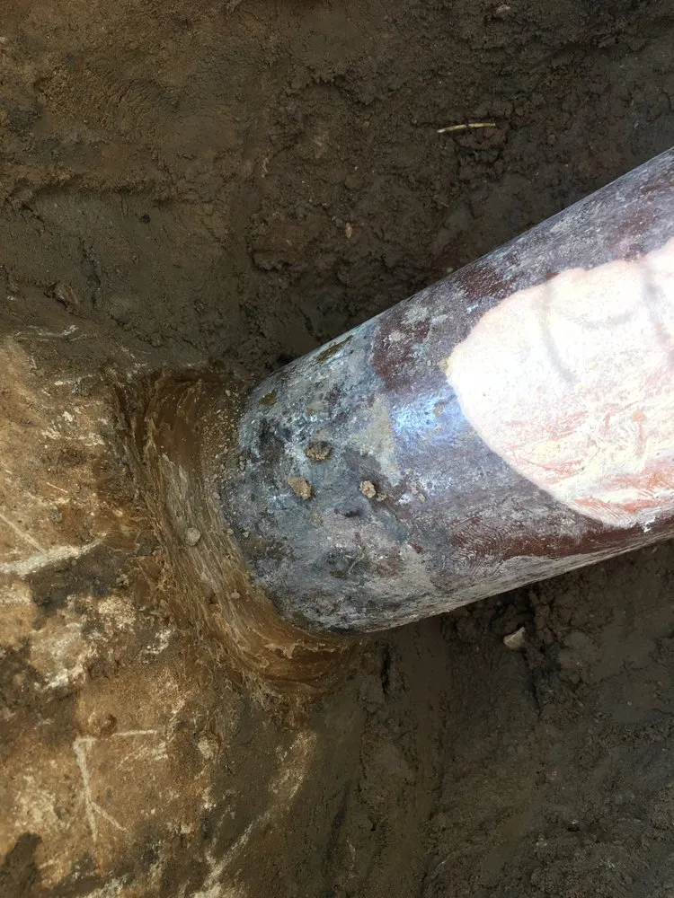 Slide of The Drain Check