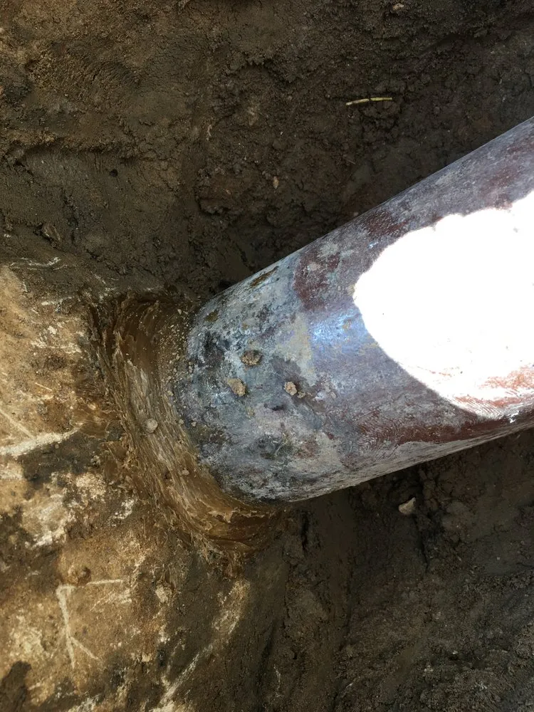 Slide of The Drain Check