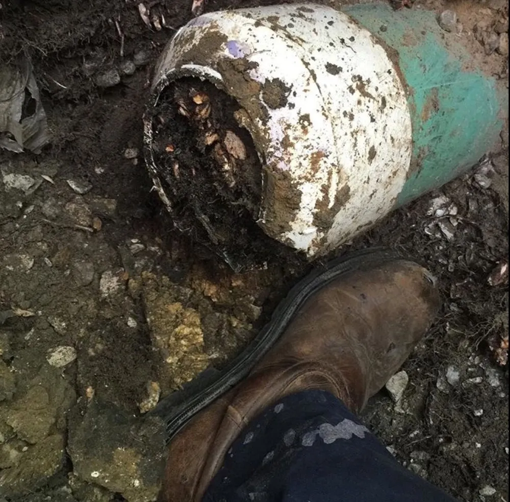 Slide of The Drain Check