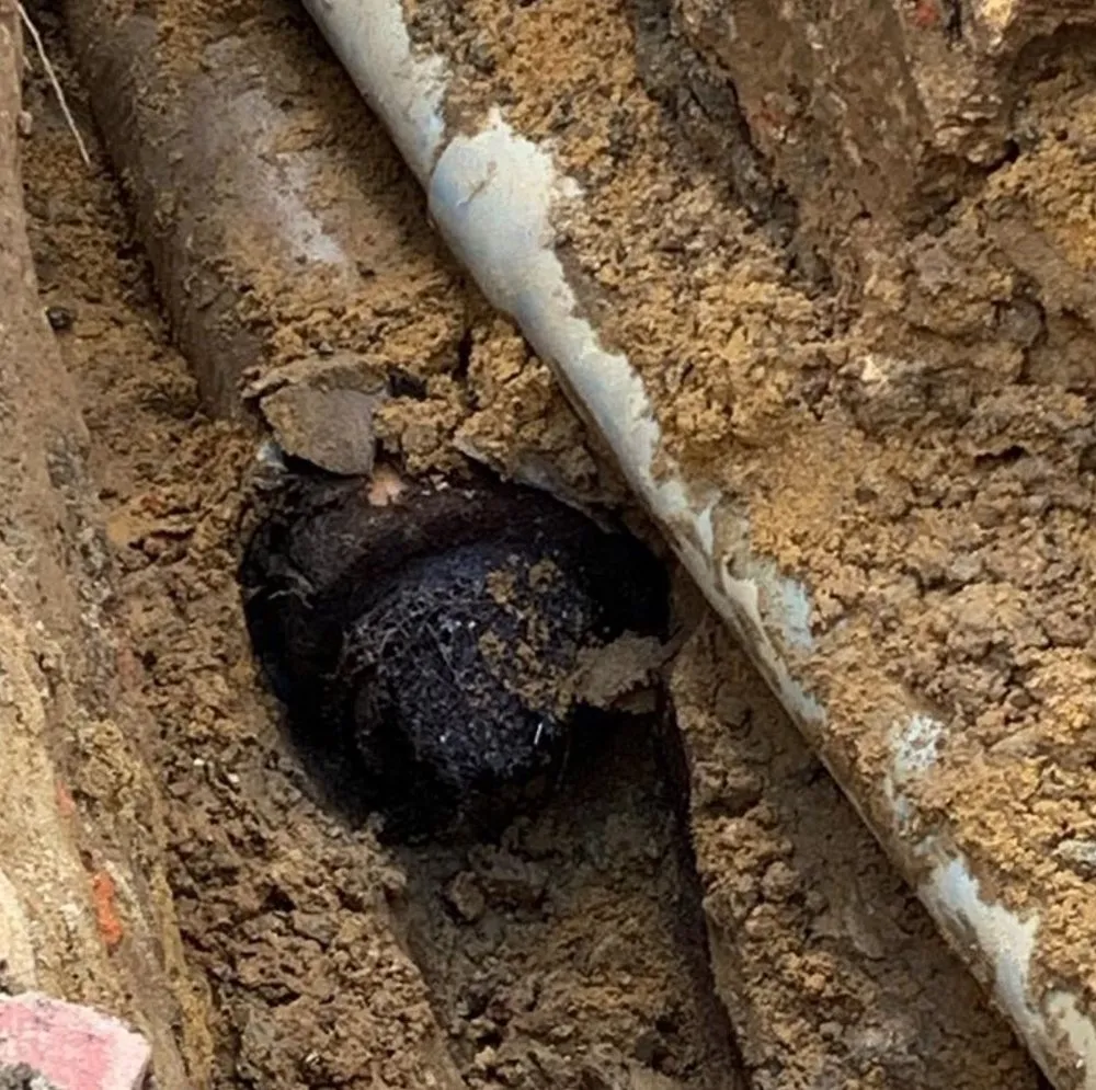 Slide of The Drain Check