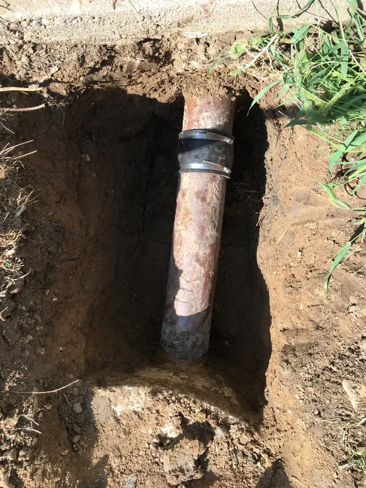 Slide of The Drain Check