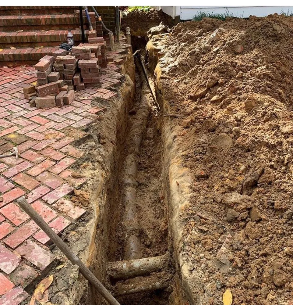 Slide of The Drain Check