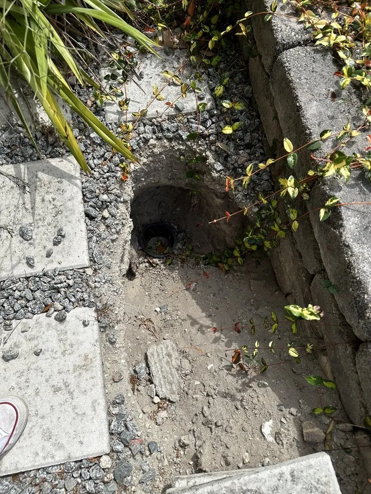 Slide of The Drain Daddy