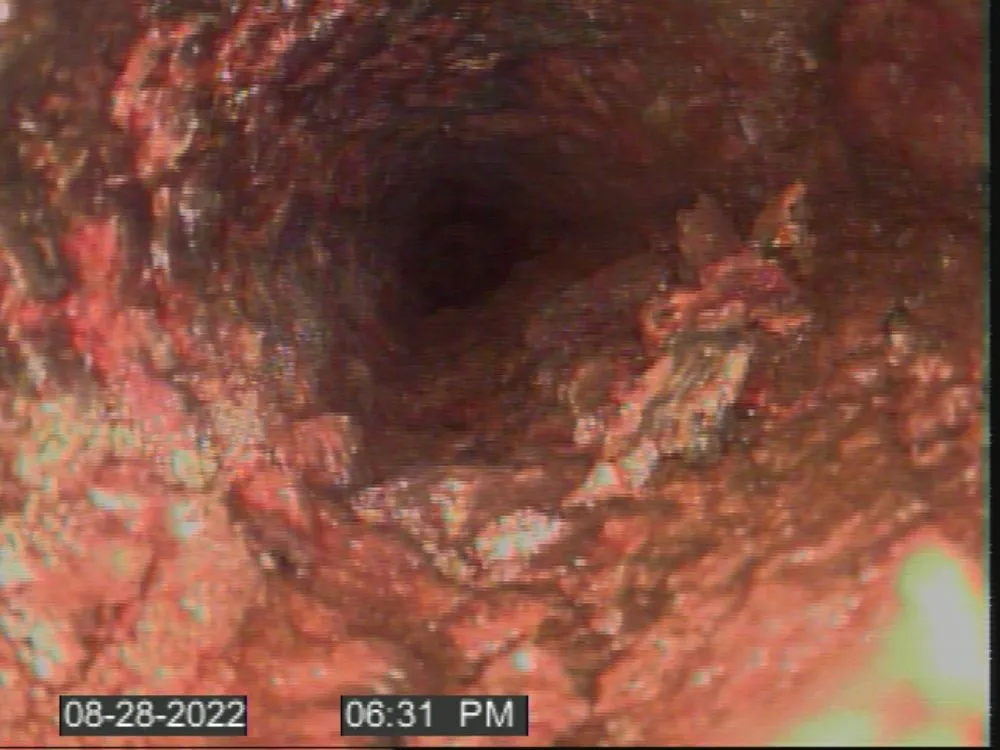 Slide of The Drain Daddy