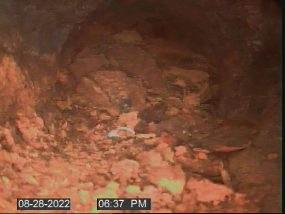 Slide of The Drain Daddy