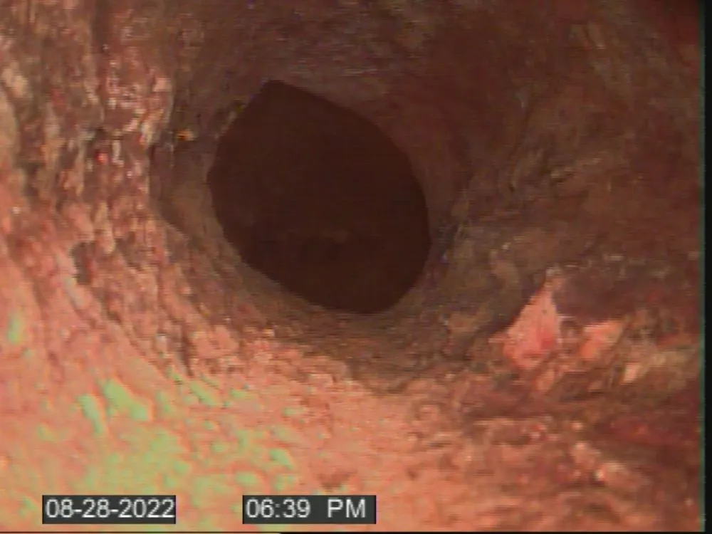 Slide of The Drain Daddy