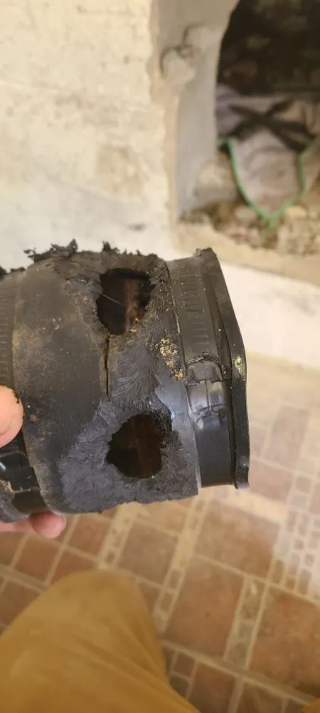 Slide of The Drain Daddy