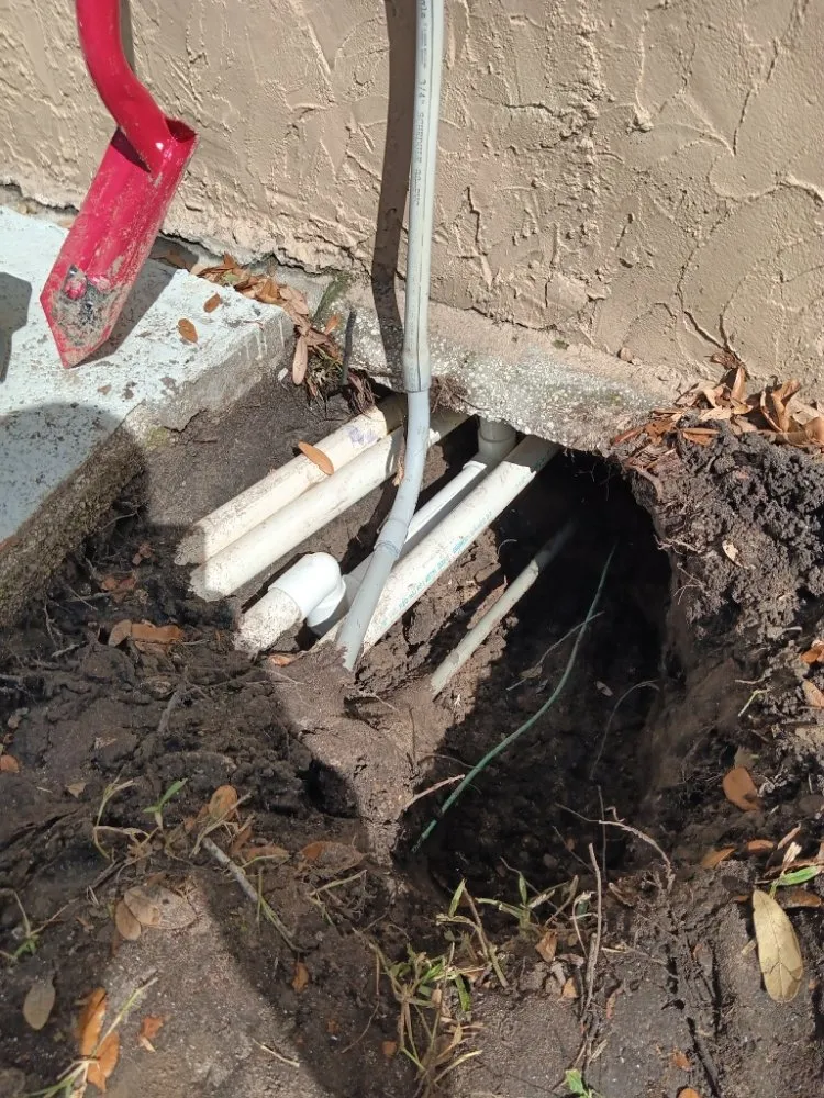 Slide of The Drain Daddy