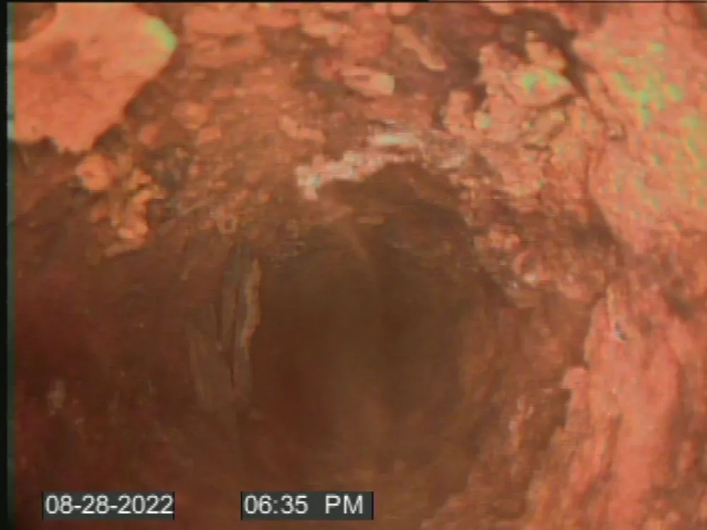 Slide of The Drain Daddy