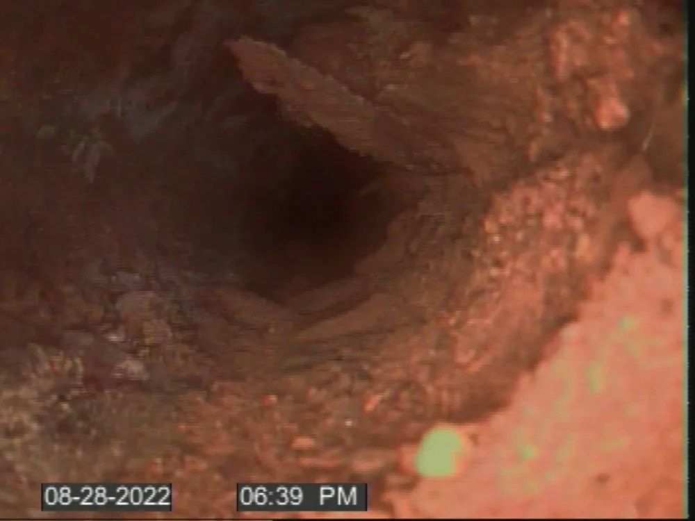 Slide of The Drain Daddy