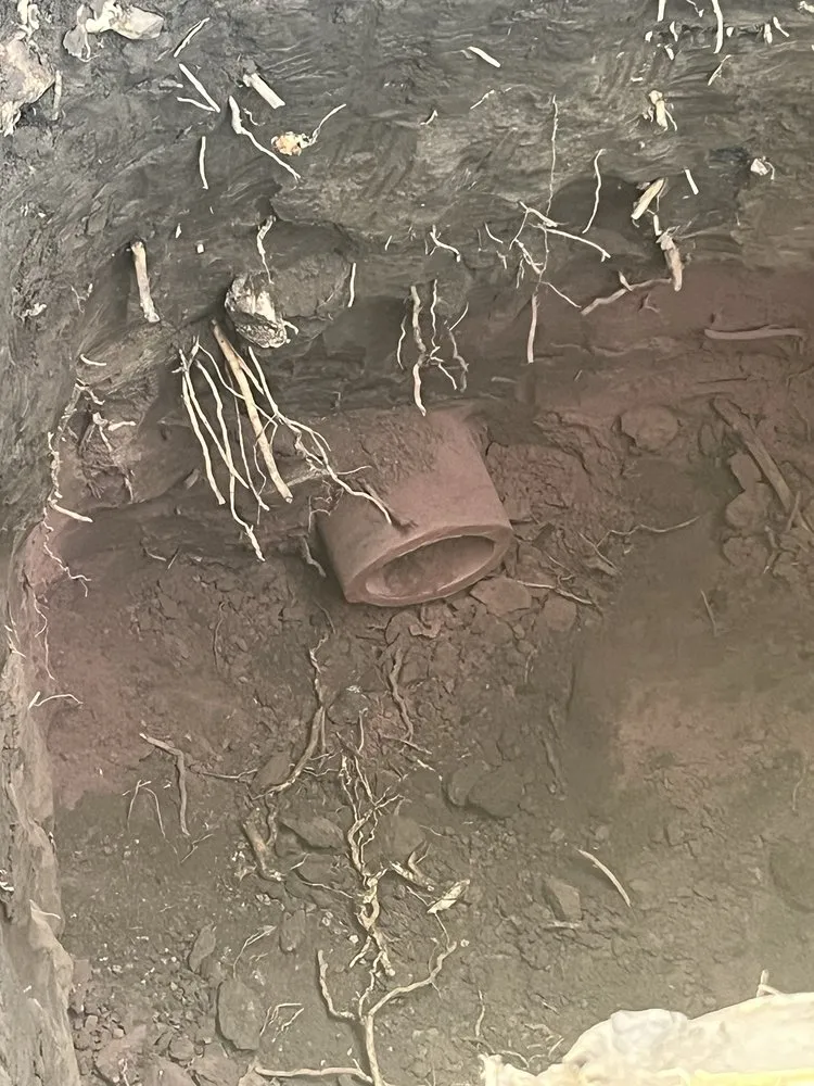 Slide of The Drain Defender