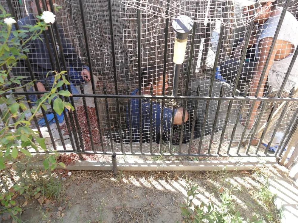 Slide of The Drain Defender