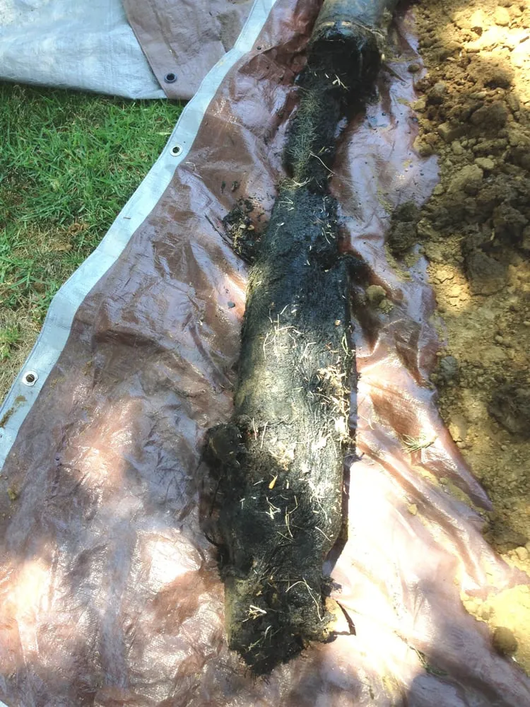 Slide of The Drain Defender